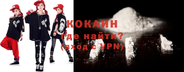 молекула духа Медвежьегорск