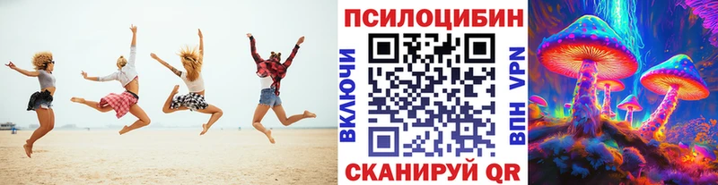 Псилоцибиновые грибы MAGIC MUSHROOMS  Купить закладки  Сухой Лог 